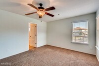 246 Coopers Hawk photo'