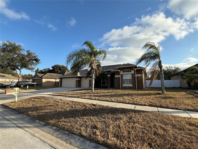 12032 Timberhill Dr in Riverview, FL - Building Photo - Building Photo