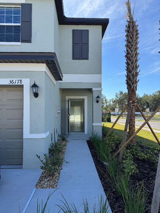 36178 Risa Michele St in Zephyrhills, FL - Building Photo