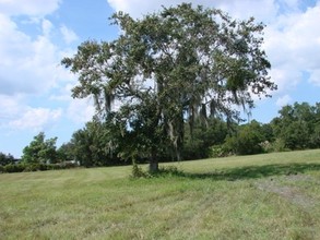 5302 Bonita Dr in Wimauma, FL - Foto de edificio - Other