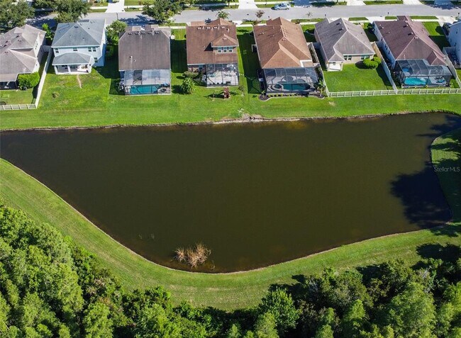 21529 Southern Charm Dr in Land O Lakes, FL - Foto de edificio - Building Photo
