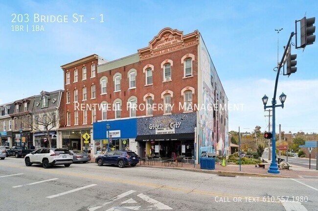 203 Bridge St in Phoenixville, PA - Building Photo - Building Photo