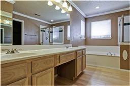 10617 Pineview Ln in Frisco, TX - Building Photo - Building Photo