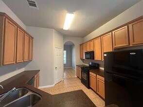 236 Caddis Cv in Kyle, TX - Building Photo - Building Photo