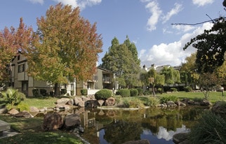 Twin Creeks in Antioch, CA - Building Photo