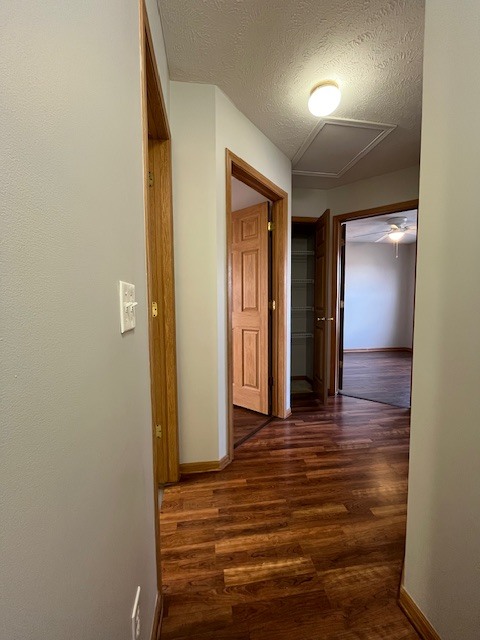 17721 Edna St in Omaha, NE - Building Photo - Building Photo