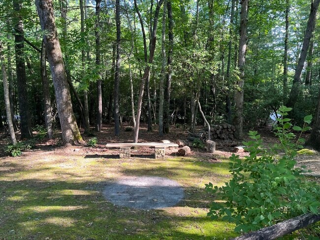 487 Riverwood Dr in Zirconia, NC - Building Photo - Building Photo