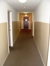 Maple Court Apartments in Stamford, CT - Building Photo - Building Photo