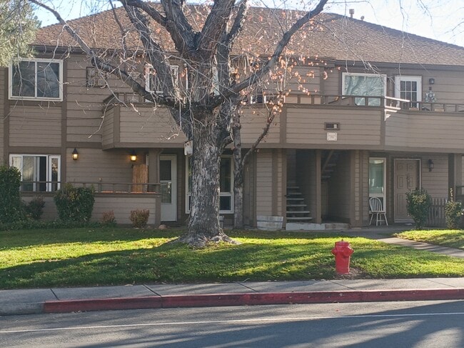 775 Kingston Dr in Reno, NV - Building Photo - Building Photo