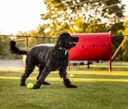 Veranda Vistas in Springfield, MO - Foto de edificio - Building Photo