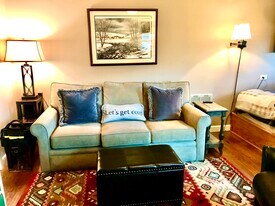 301 Pinnacle Inn Rd in Beech Mountain, NC - Building Photo