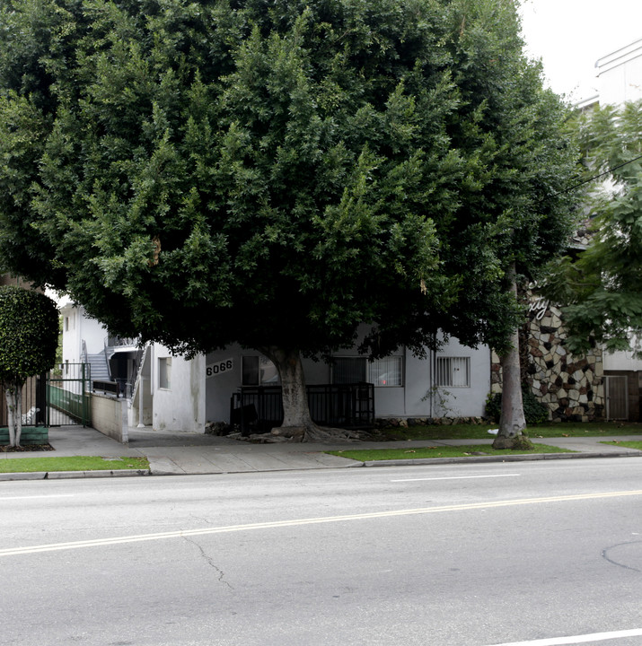 6066 Franklin Ave in Los Angeles, CA - Building Photo