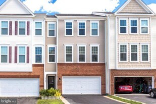 24690 Capecastle Terrace in Aldie, VA - Building Photo