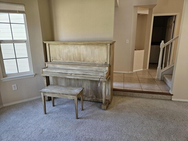 3653 Sunflower Cir in Longmont, CO - Building Photo - Building Photo