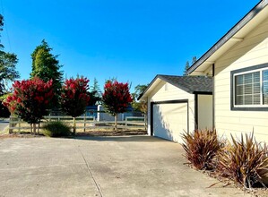 5297 Lone Pine Rd in Sebastopol, CA - Building Photo - Building Photo