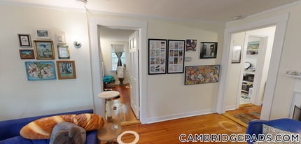 38 Gibson St in Cambridge, MA - Building Photo - Building Photo