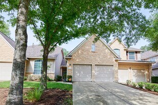 22 W Greenhill Terrace Pl in Spring, TX - Building Photo