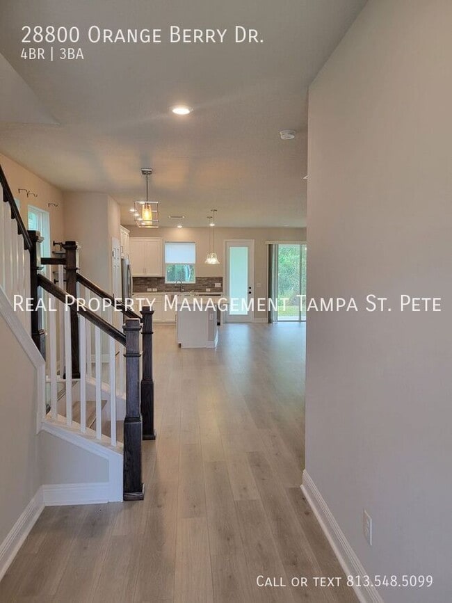 28800 Orange Berry Dr in Wesley Chapel, FL - Building Photo - Building Photo