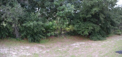 8151 SW 128 Loop in Ocala, FL - Building Photo - Building Photo