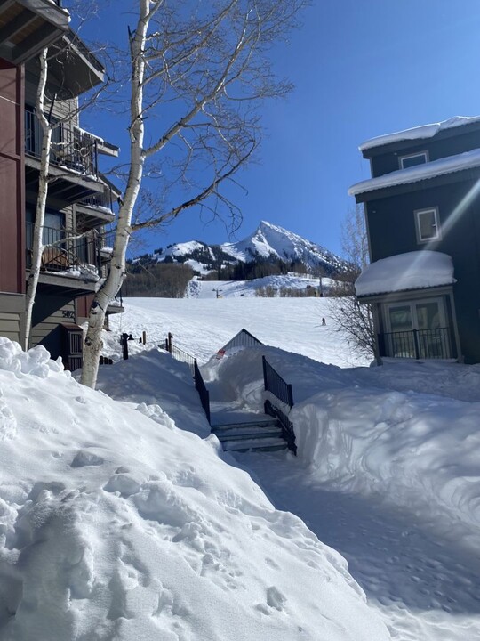 21 Crested Mountain Ln in Crested Butte, CO - Foto de edificio