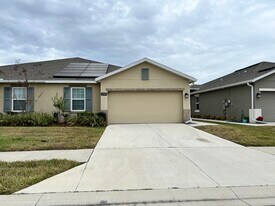 17930 Turning Leaf Cir in Land O Lakes, FL - Building Photo