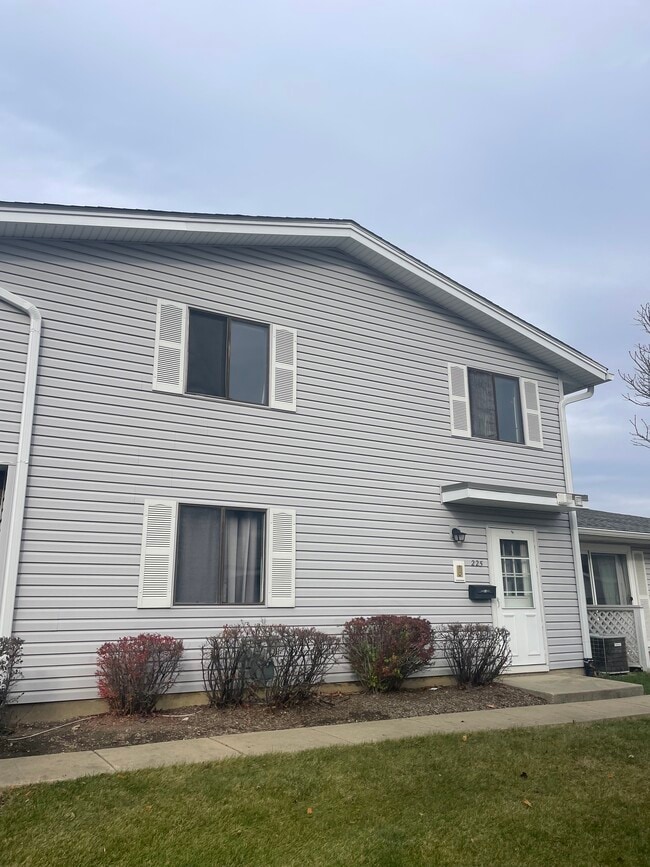 225 Barcliffe Ln in Schaumburg, IL - Foto de edificio - Building Photo