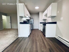 607 Pebble Pl Dr in Delaware, OH - Building Photo - Building Photo