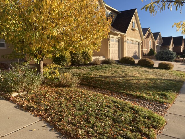 property at 5826 Paladin Pl