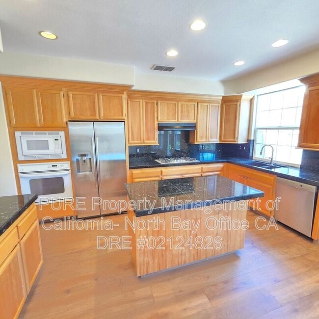 565 Jorgensen St in Cotati, CA - Building Photo - Building Photo