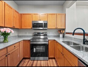 1507 Liberty Cir in Shakopee, MN - Building Photo - Building Photo