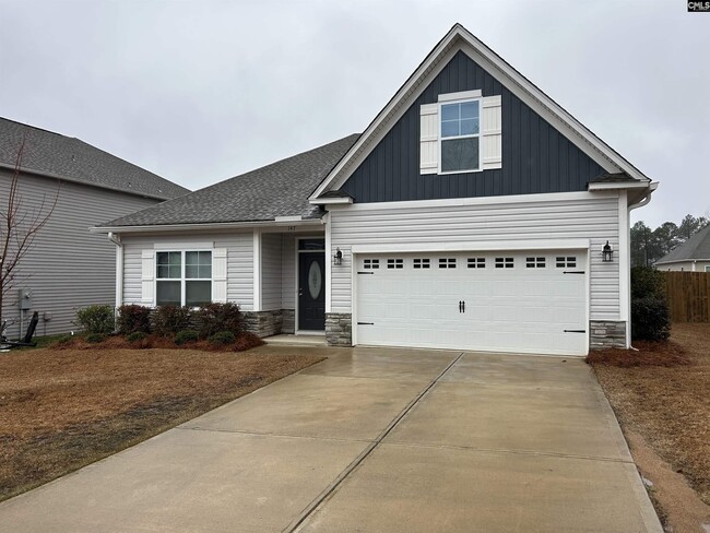 147 Doolittle Dr in Chapin, SC - Building Photo - Building Photo