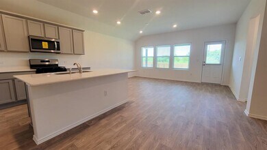 245 Texoma St in Kyle, TX - Building Photo - Building Photo