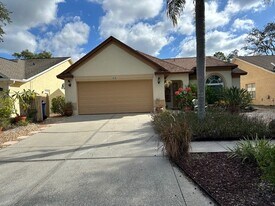 4710 Lighterwood Way in Valrico, FL - Building Photo