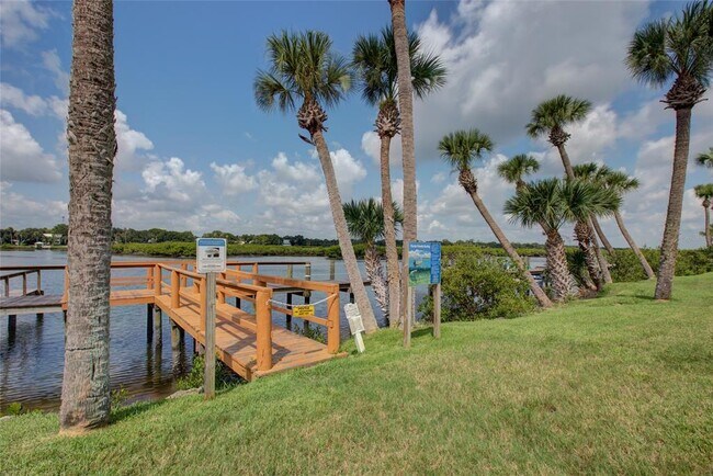 58 Sabal Cay Ct in New Smyrna Beach, FL - Building Photo - Building Photo