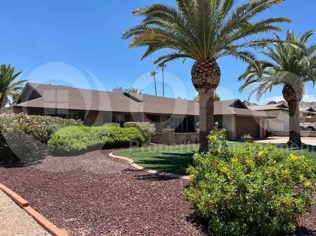 2439 E Mercer Ln in Phoenix, AZ - Foto de edificio - Building Photo