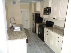 337 Countryview Cove in Oxford, MS - Building Photo - Building Photo