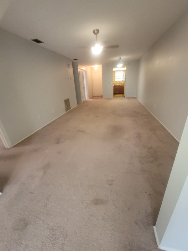 4026 Passport Ln in New Port Richey, FL - Building Photo - Building Photo