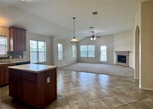1692 Amberwood Loop in Kyle, TX - Building Photo - Building Photo
