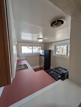1280 Race St, Unit Apt 2 in Denver, CO - Building Photo - Building Photo