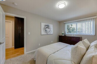 50 Casa Maria Ct in Alamo, CA - Building Photo - Building Photo