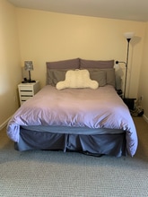 41 S Main St in Lexington, VA - Building Photo - Building Photo