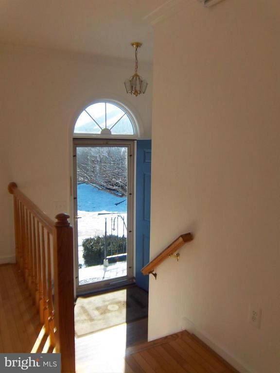 20320 Cedarhurst Way in Germantown, MD - Building Photo - Building Photo