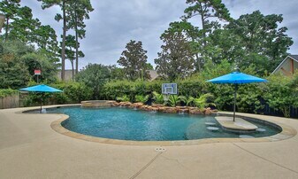 167 Clearmont Pl in Montgomery, TX - Building Photo