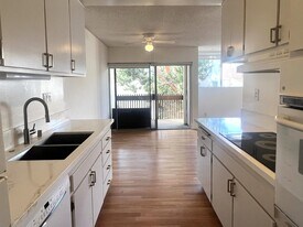 6000 Canterbury Dr, Unit D212 in Culver City, CA - Building Photo
