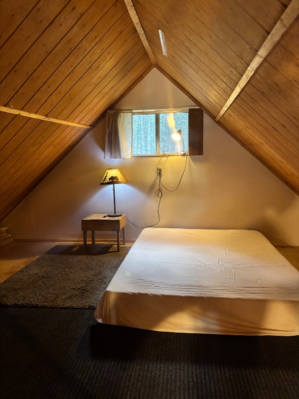 973 Blue Lake Ln in Bigfork, MT - Building Photo - Building Photo