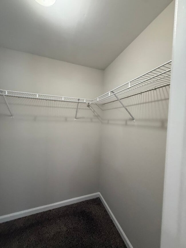 1106 Tree Top Way in Knoxville, TN - Building Photo - Building Photo