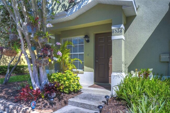 8526 Brushleaf Way in Tampa, FL - Building Photo - Building Photo