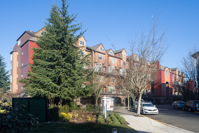 Mews at North Harbour in Portland, OR - Building Photo - Building Photo