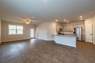 369 Carolina Buckthorn Dr in Kyle, TX - Building Photo - Building Photo