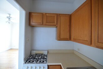 1167 N Dearborn St in Chicago, IL - Building Photo - Building Photo